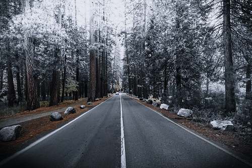road concrete road between forest grey